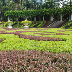 Regular Garden